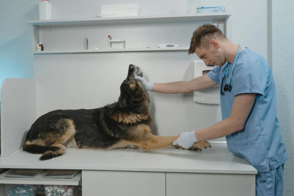 pet-industry